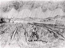 Enclosed Field with a Sower in the Rain - Vincent van Gogh