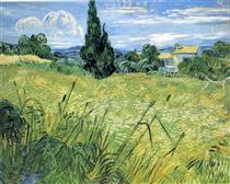 Green Wheat Field with Cypress - Vincent van Gogh