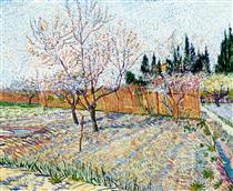 Orchard with Peach Trees in Blossom - Vincent van Gogh