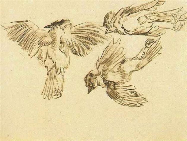 Studies of a Dead Sparrow, 1885 - Винсент Ван Гог