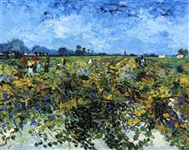 The Green Vinyard - Vincent van Gogh
