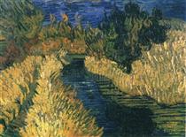 The Little Stream - Vincent van Gogh