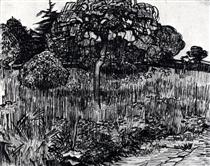 The Park at Arles - Vincent van Gogh