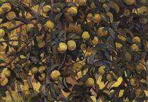Apples on the branches - Zinaida Serebriakova